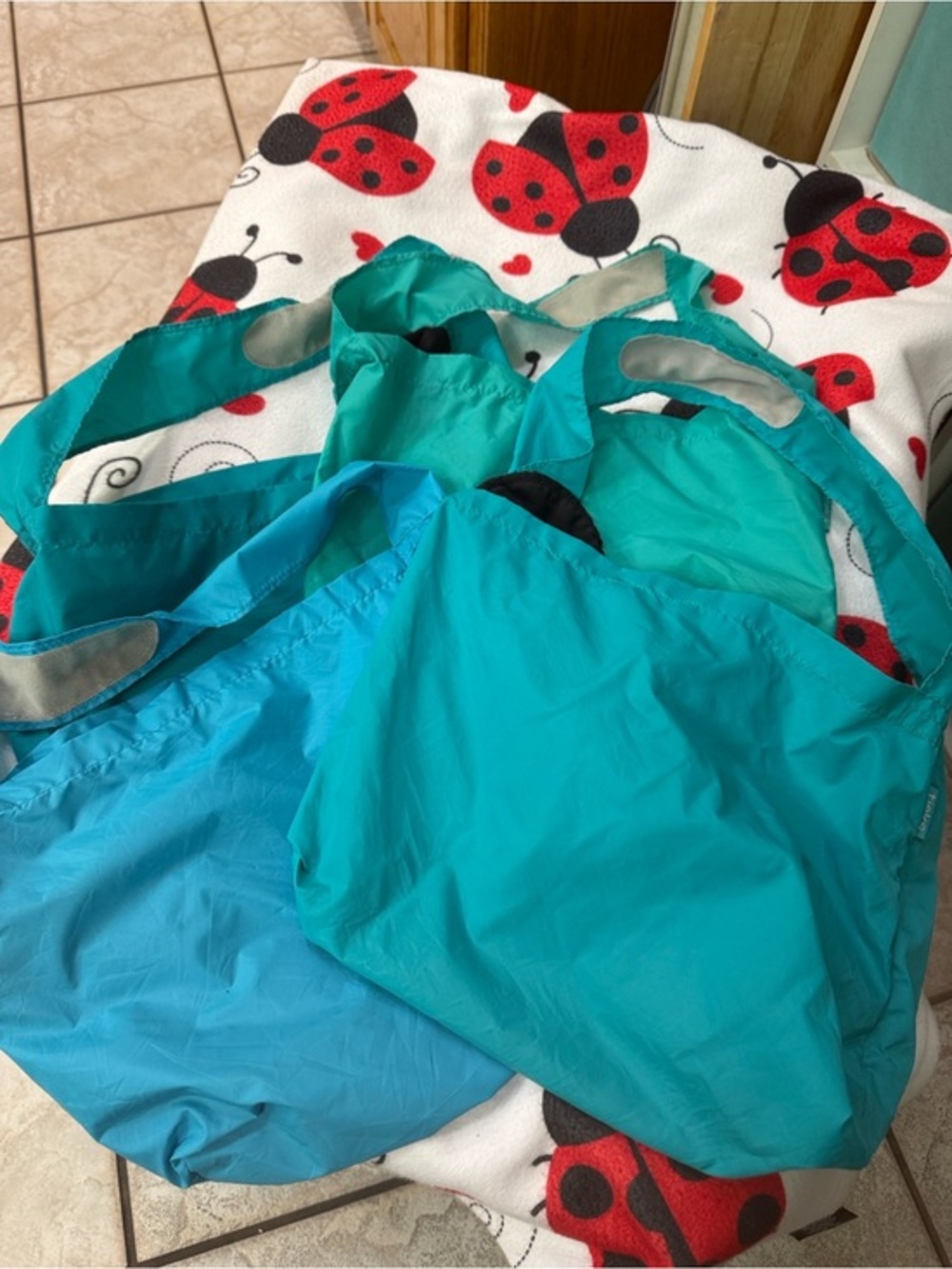 Tieks Shoe Bags (Shoes not included)